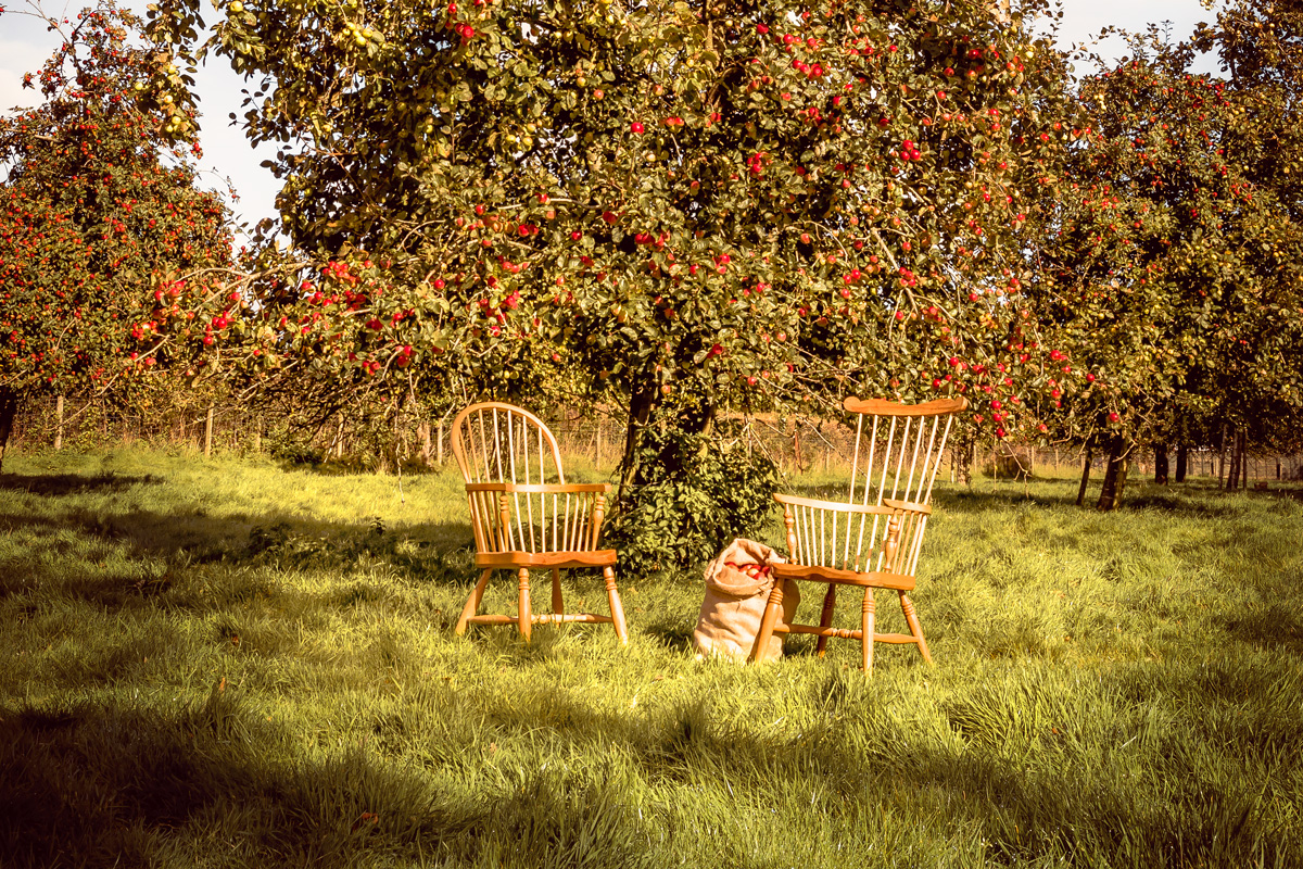 Windsor-chair-orchard